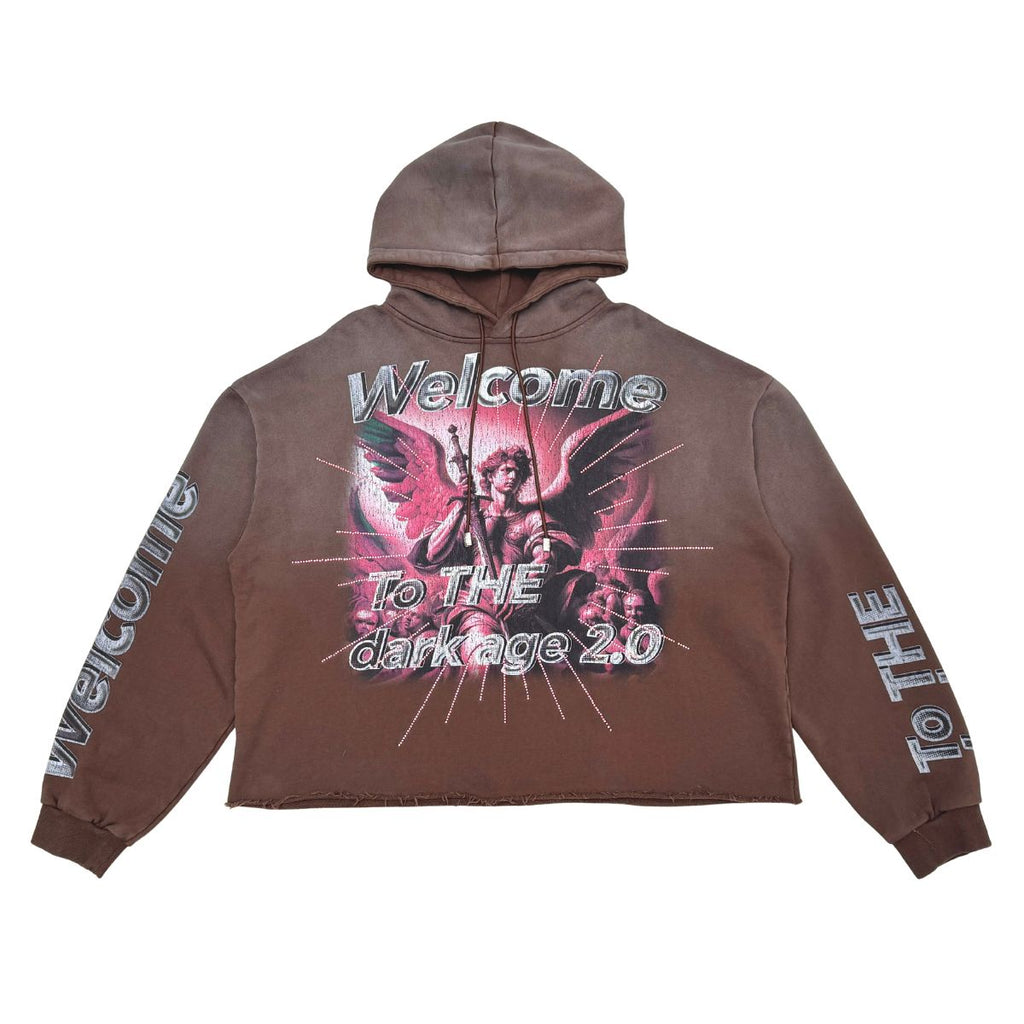Washed F. Terry Hoodie w/ Rhinestone BROWN