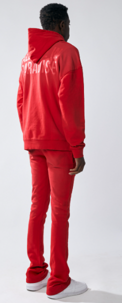 Urban Beast Sun Faded HD Print Hoodie- Red