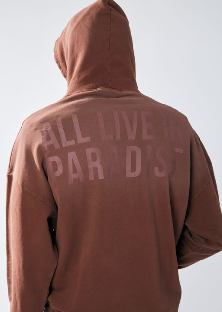 Urban Beast Sun Faded HD Print Hoodie- Brown