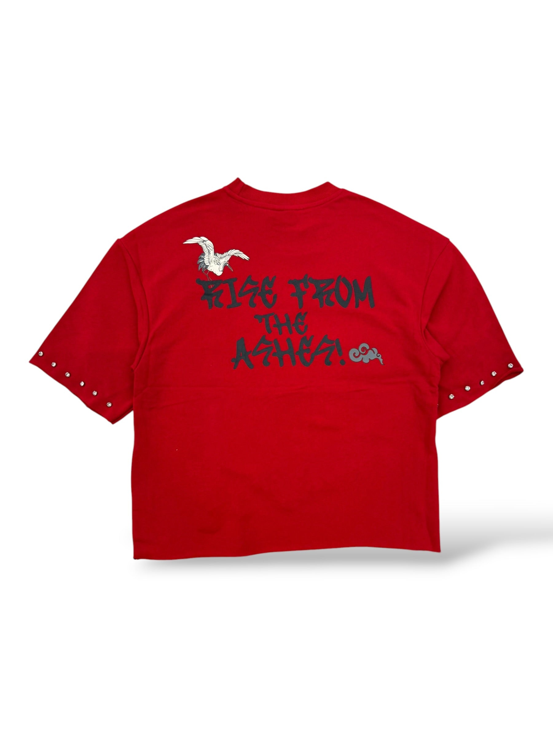 PJ Mark 'Rise From The Ashes' T-Shirt- Red