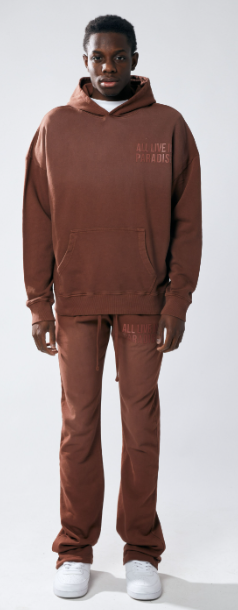 Urban Beast Sun Faded HD Print Sweats- Brown