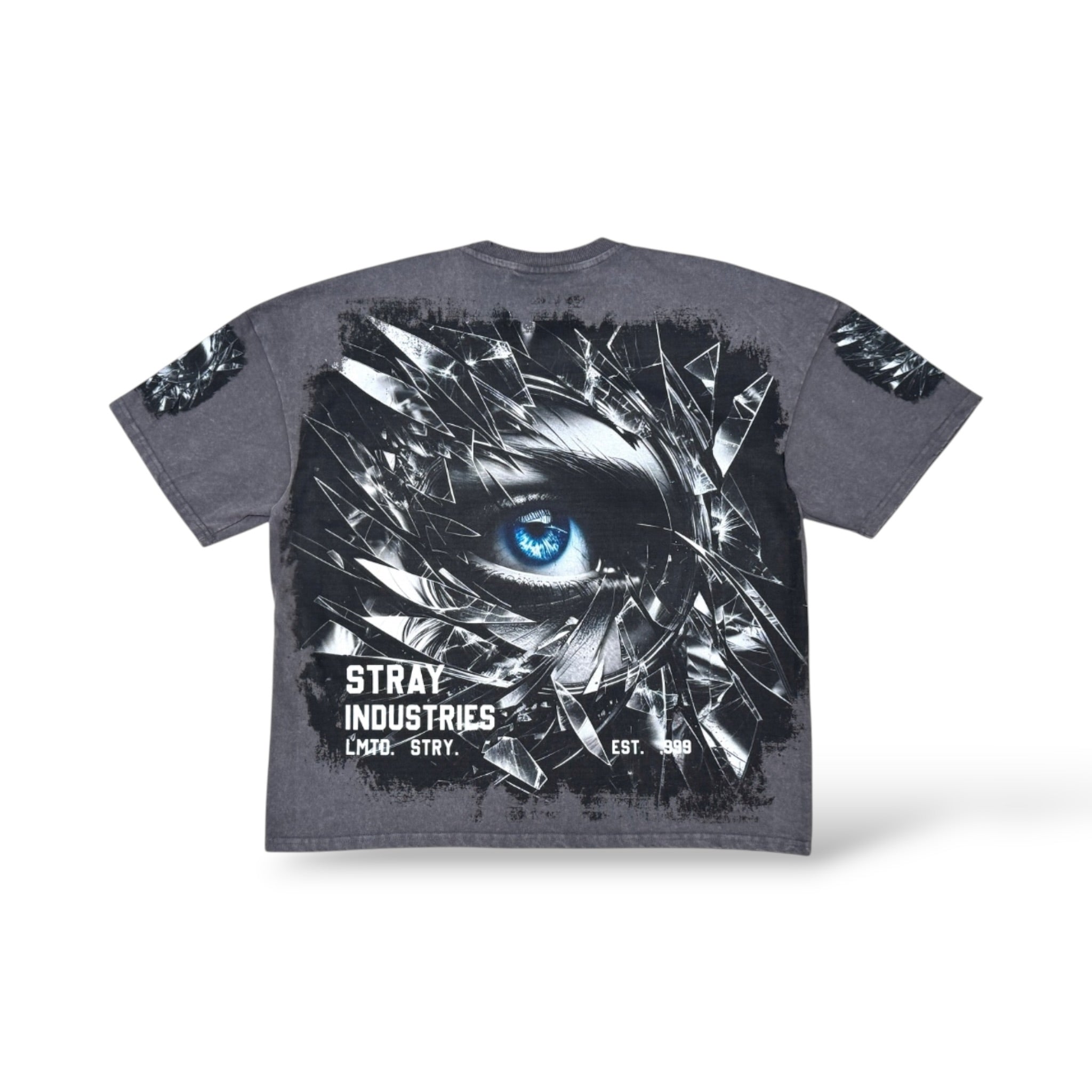 Stray 'Skull In Web' T-Shirt- Charcoal