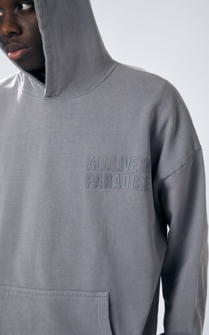 Urban Beast Sun Faded HD Print Hoodie- Grey