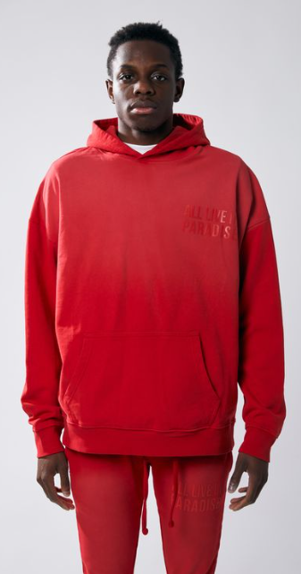 Urban Beast Sun Faded HD Print Hoodie- Red