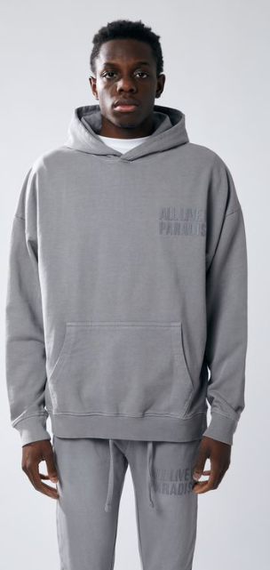 Urban Beast Sun Faded HD Print Hoodie- Grey