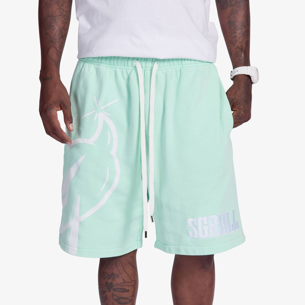 SugarHill 'Aspire' Terry Shorts- Washed Green