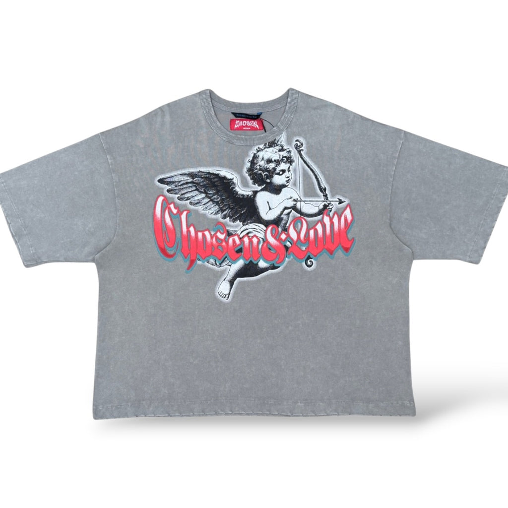 Chosen '6167' Oversized T-Shirt- Wild Dove