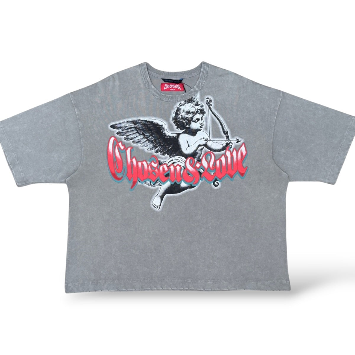 Chosen '6167' Oversized T-Shirt- Wild Dove