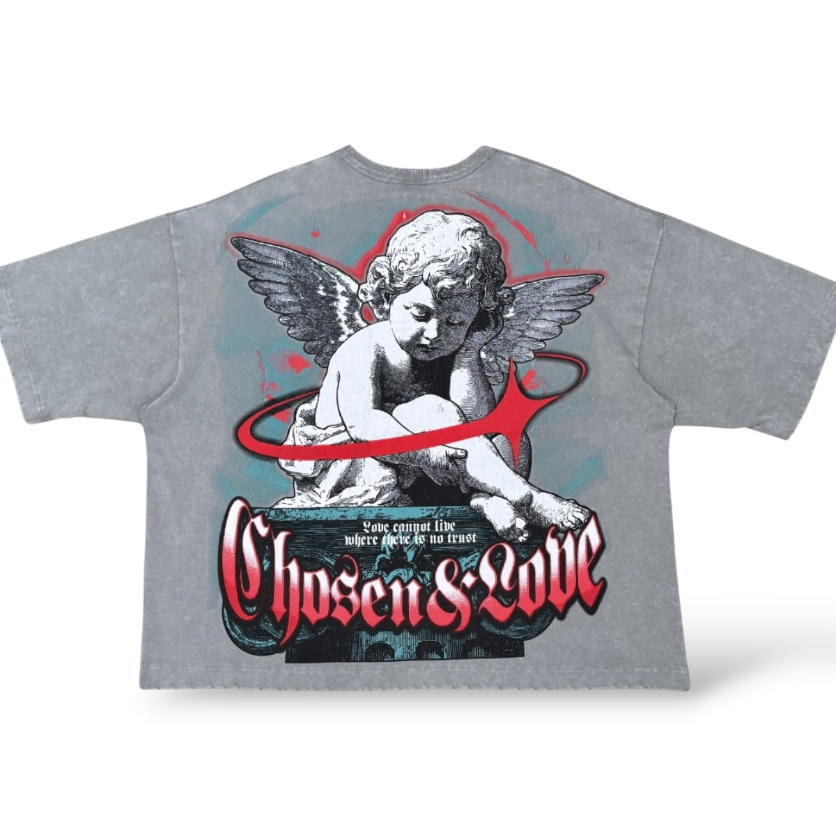 Chosen '6167' Oversized T-Shirt- Wild Dove