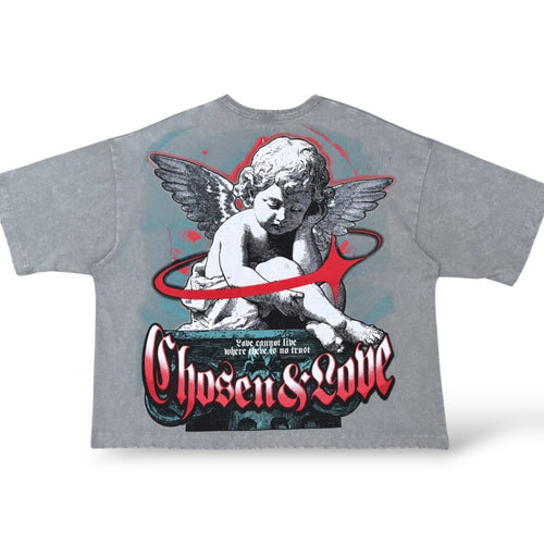 Chosen '6167' Oversized T-Shirt- Wild Dove